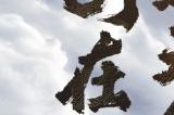 名创优品宣布联动《黑神话：悟空》 2025年上线