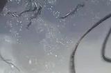 《永恒之柱》总监当初认为众筹成功几率只有一半