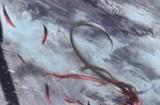 永劫无间祈福任务哪里多 祈福任务位置分享