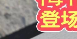 《死或生沙滩排球 维纳斯假期》新女神梅格上岛 与短发咖啡店店员一起偷懒吧