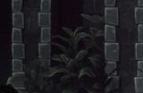 恐怖游戏《Rose Cottage》Steam页面上线 不支持中文
