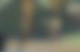 王国之泪蜥蜴战士面罩怎么得 蜥蜴战士面罩获取攻略