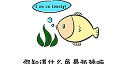 谐音梗挑战第19关攻略  你知道什么鱼最孤独嘛