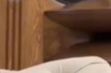 周鸿祎：我也要送车 至于要送什么车由大家说了算