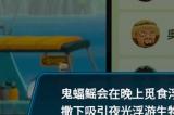 《潜水员戴夫》夜晚的巨型鳐鱼怎么做 夜晚的巨型鳐鱼任务攻略