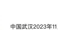 斗鱼：公司CEO陈少杰于11月16日被成都警方逮捕