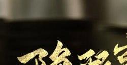 《隐形守护者》创造属于每个人自己的谍战传奇！