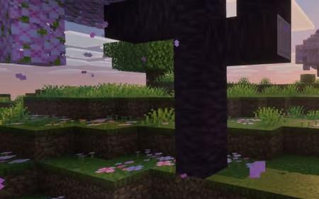 《我的世界2》攻略——大概率不会出现 Mojang概述长期计划