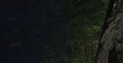 《艾尔登法环：黑夜君临》复仇者参战成就攻略分享