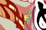 《元祖掉落寿司》Steam页面上线 物理原则消除