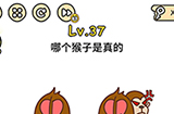 脑洞大大大第37关攻略  哪个猴子是真的