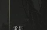 《艾尔登法环》碎星的传说是否适合仿身泪滴介绍