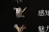 《博德之门3》力量散打武僧bd怎么搭配 力量散打武僧build分享