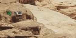 《怪物猎人：荒野》大剑玩法分享