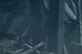 《鬼武者：剑之道》全新预告 画面惊人战斗激烈