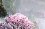 逆水寒乐极生悲案件过程是什么 乐极生悲断案过程攻略