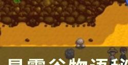 《星露谷物语》秘密纸条14任务怎么做 秘密纸条14详细攻略