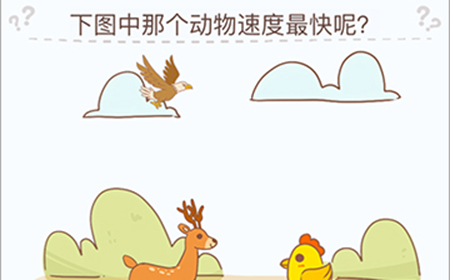 烧脑大挑战游戏第1关攻略  下图中哪个动物速度最快呢