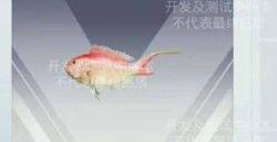 和平精英绿洲世界垂钓等级提升方法 绿洲世界钓鱼等级怎么升