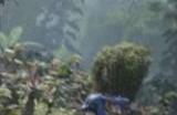 实体版《阿凡达：潘多拉边境》安装需联网