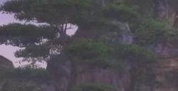 携手中外顶尖音乐人谱写天下乐章，带你沉浸式体验大荒！