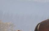 《猎人：荒野的呼唤》新英格兰的山猫怎么抓
