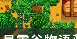 《星露谷物语》蓝鸡怎么获得 蓝鸡获取方法详情