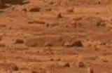因预算问题 美国宇航局搁置火星样本返回任务
