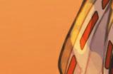 《阴阳师》糖糖乱斗活动即将开启