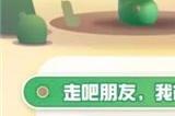 蛋仔派对仙人掌丘丘怎么获取 仙人掌丘丘获取攻略