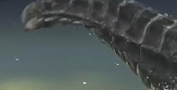 《艾尔登法环：黑夜君临》夜王慧心虫打法特点介绍
