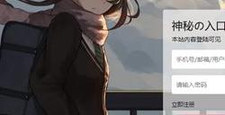 萌次元进不去了怎么回事