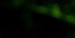 黄仁勋完成NVIDIA减持计划：套现超49亿元！