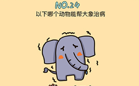 脑力黑洞第24关攻略  以下哪个动物能帮大象治病