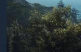 《龙之信条2》现已推出 Steam“多半差评”