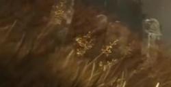《艾尔登法环：黄金树幽影》中字剧情预告前往幽影之地