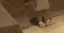 男子跳至兵马俑坑致两尊武士俑损坏 律师：最高可判10年