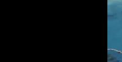 《文明7》中国文明：汉朝