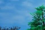 《幻兽帕鲁》v0.2.2.0版本更新发布 修复错误Bug