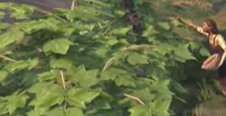 《盛世繁荣：皇冠之重》游戏官网地址介绍