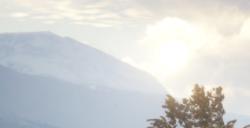 《猎人：荒野的呼唤》梅德韦泰嘉动物有什么特点