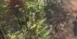 《古龙风云录》宗师难度第七卷视频流程通关攻略