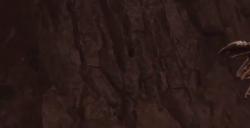 《艾尔登法环》古龙瑟涅桑克斯BOSS图鉴