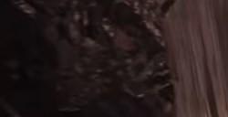 《猎杀：对决》抗毒者作用是什么