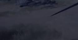 《艾尔登法环》啜泣半岛狮子混种BOSS图鉴