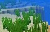 我的世界海洋之心怎么用 我的世界海洋之心使用方法