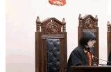 AI作品受保护？ 我国首例 “AI文生图”案一审判决生效
