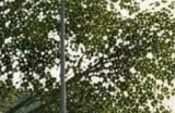 Steam瑞典游戏促销 近80种瑞典优秀游戏促销