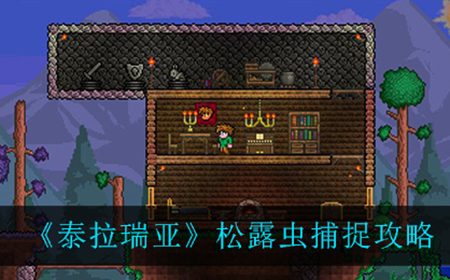 泰拉瑞亚松露虫在哪抓  松露虫捕捉攻略