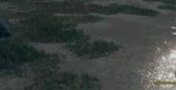 艾尔登法环隐形怪怎么打 艾尔登法环隐形怪打法攻略